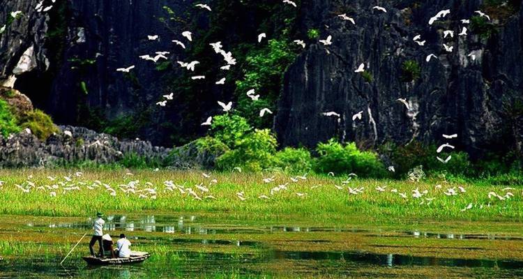 Verdaderamente Ninh Binh circuito 2 días 1 noche - Nhat Long Travel Company 8