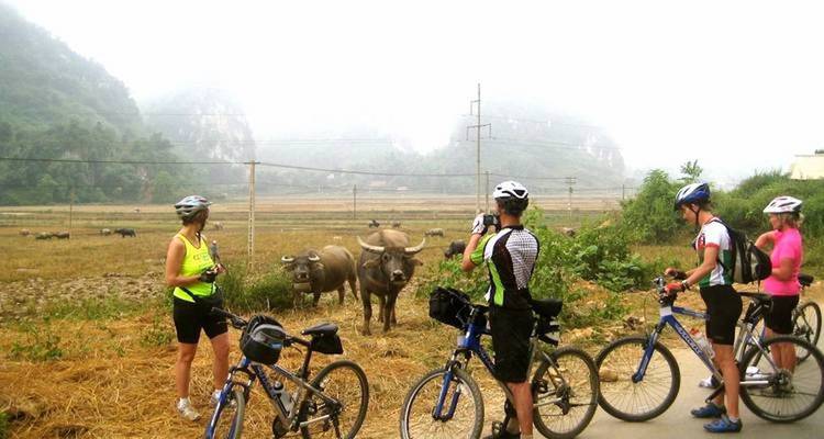 Verdaderamente Ninh Binh circuito 2 días 1 noche - Nhat Long Travel Company 10
