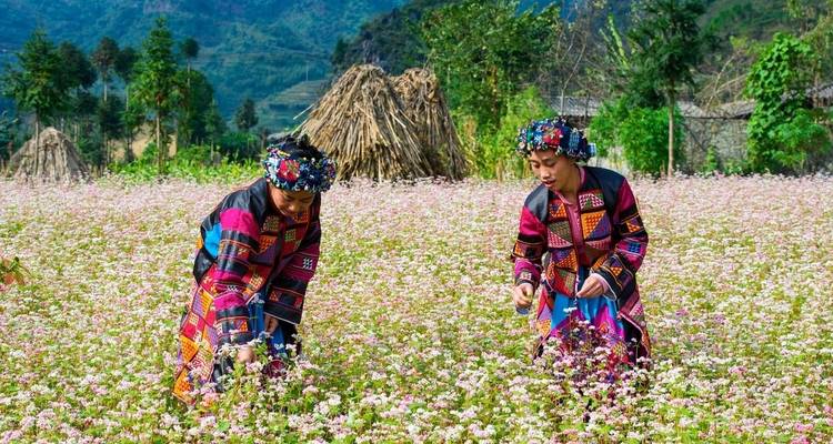 Authentic Experience Ha Giang 3days/3nights - Nhat Long Travel Company 8
