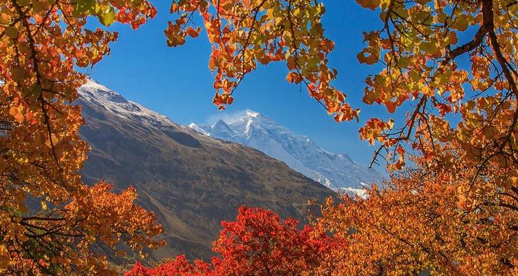 Excursion dans la vallée de Hunza et les prairies féeriques, Gilgit- Baltistan, Pakistan - Crossroads Adventure  9