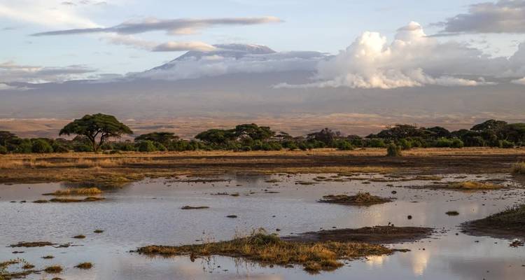 Humedales reflejando la suave luz del atardecer con el distante Monte Kilimanjaro parcialmente cubierto por nubes.