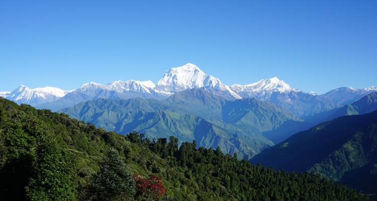9 jours Trek du camp de base de l'Annapurna - Nepal Horizon Treks & Expedition Pvt.Ltd  6