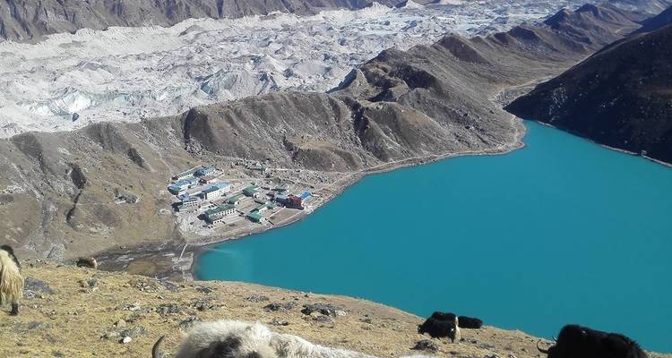 Everest View Trek 12 days (from Lukla to Kathmandu) - Nepal Horizon Treks & Expedition Pvt.Ltd  3