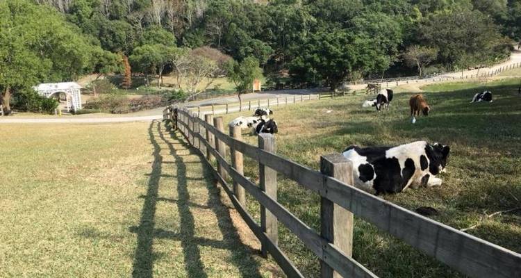 5-day Taiwan Family Fun Private Tour - MyTaiwanTour 1