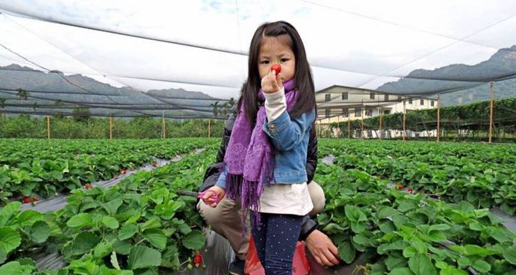 5-day Taiwan Family Fun Private Tour - MyTaiwanTour 7