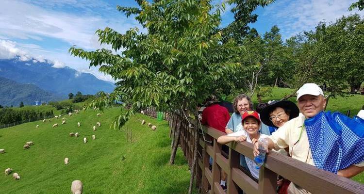 Groupe de personnes appuyées sur une clôture dans un espace verdoyant avec des moutons qui paissent.