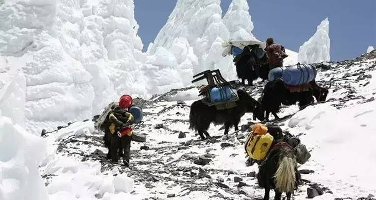 Trek du camp de base de l'Everest - Mountain Ascend Treks Pvt. Ltd. 8