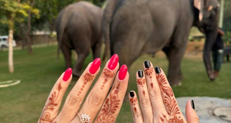 Henna-versierde handen met olifanten op de achtergrond.