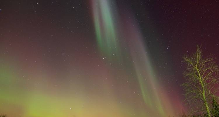 L'Alaska spectaculaire - Globus 2