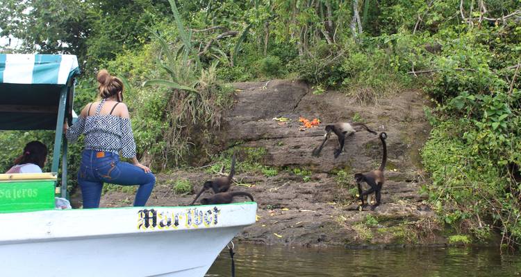 Todo Veracruz es Bello, Tajin, Catemaco, El Café - Tours y Tickets  1