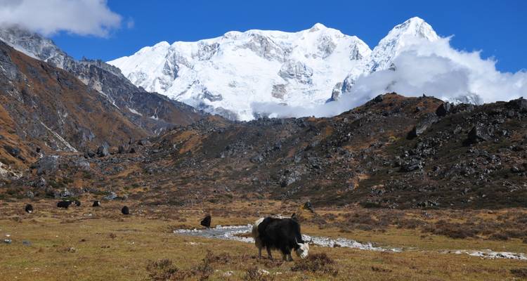 Trek du col de Lumba Sumba - Mount Adventure Holidays Pvt.Ltd 10