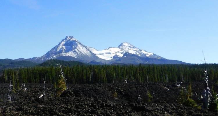 Snow-capped mountains with forested areas.