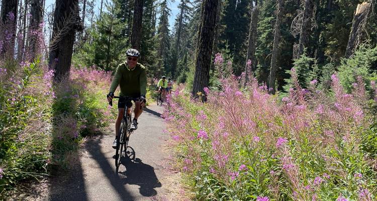 Cyclists riding through a path lined with wildflowers.