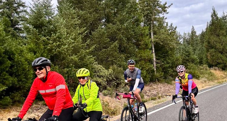 Cyclists riding on a rural road surrounded by forest.