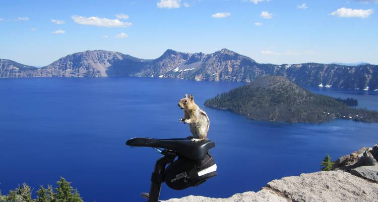 Squirrel on a bike seat with a view of Crater Lake.