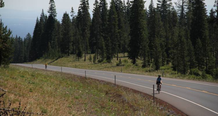 Cycliste roulant sur une route à travers une zone boisée.