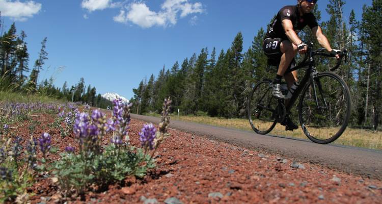 Cycliste roulant le long d'une route avec des fleurs violettes au premier plan.