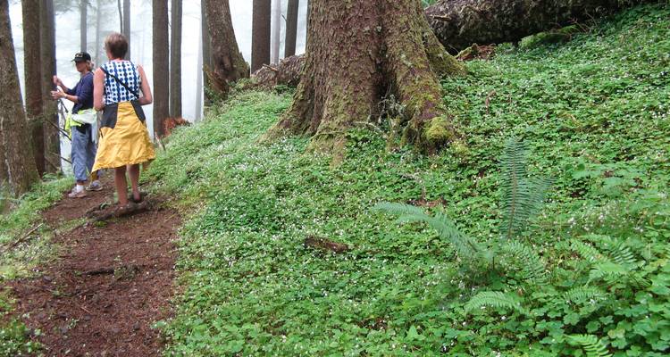 Oregon Coast to Crater Lake Bike Tour - Bicycle Adventures 6