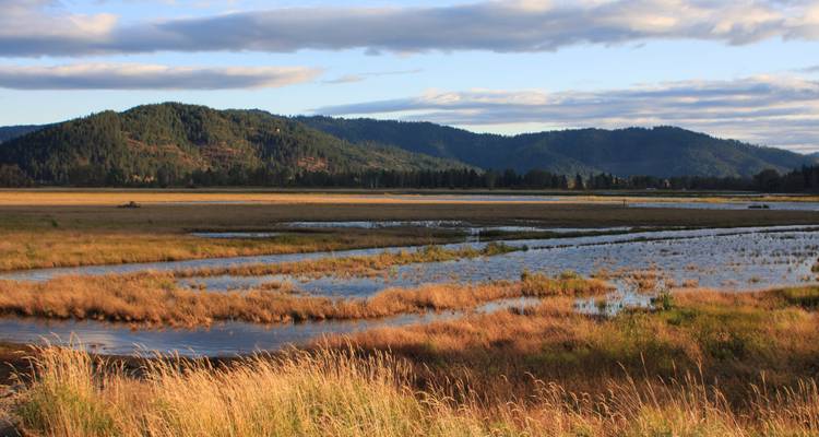 Vue paysagère de zones humides avec des montagnes en arrière-plan.