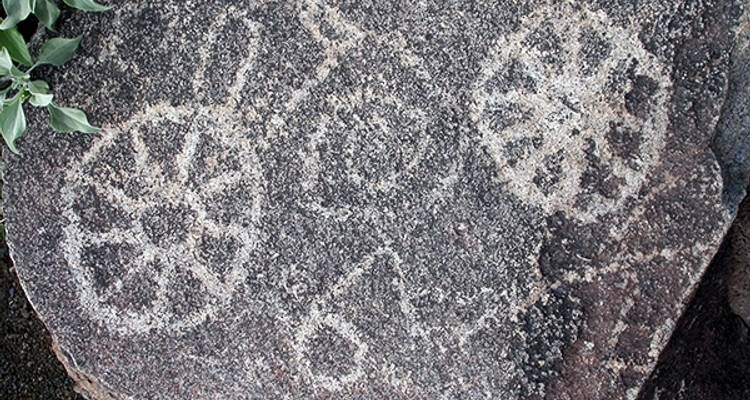 Arizona Sonora Bike Tour - Bicycle Adventures 9