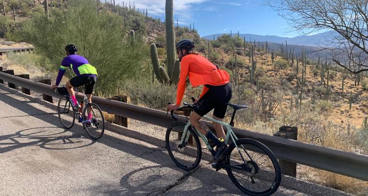 Arizona Sonora Bike Tour - Bicycle Adventures 1
