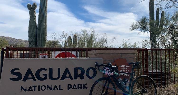 Arizona Sonora Bike Tour - Bicycle Adventures 2