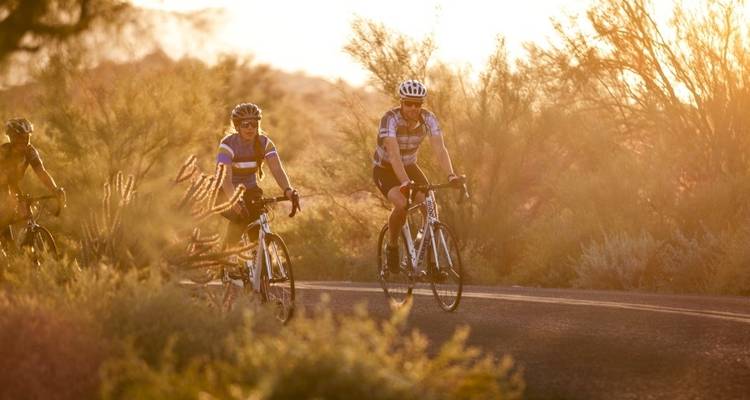 Arizona Sonora Bike Tour - Bicycle Adventures 4