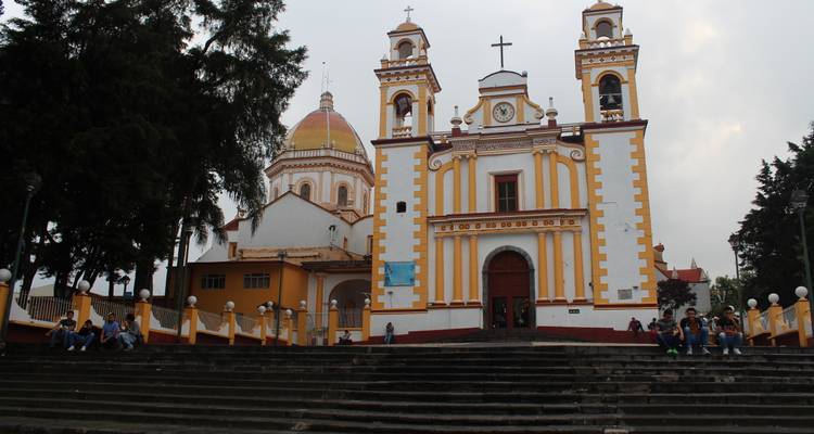 The Coffee, Veracruz and Tajin, Papantla. - Tours y Tickets  6