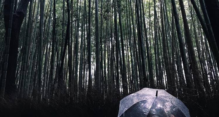 Merveille hivernale du Japon - 15 jours - Contiki 6