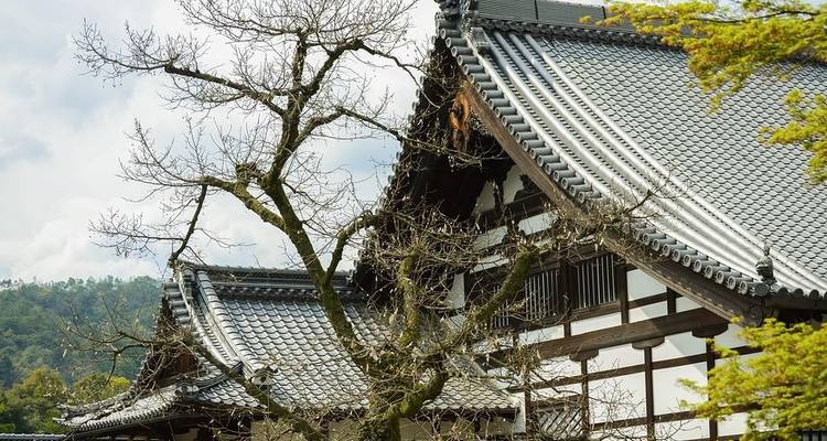 Merveille hivernale du Japon - 15 jours - Contiki 4