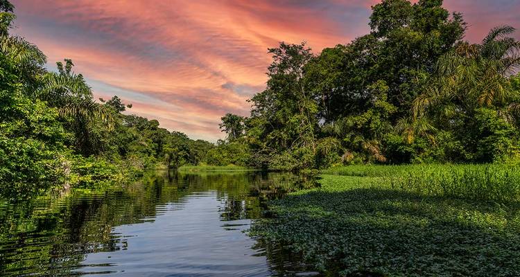 Vue panoramique du parc national de Tortuguero avec une végétation luxuriante et un cours d'eau réfléchissant au coucher du soleil.