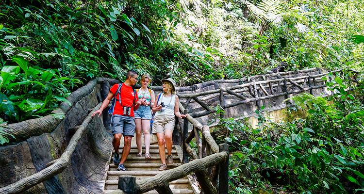 Groupe de touristes marchant sur un sentier forestier avec des garde-corps en bois.