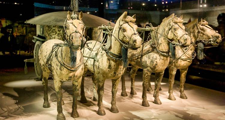 Char de bronze réaliste et quatre chevaux provenant de l'Armée de terre cuite exposés dans une salle faiblement éclairée