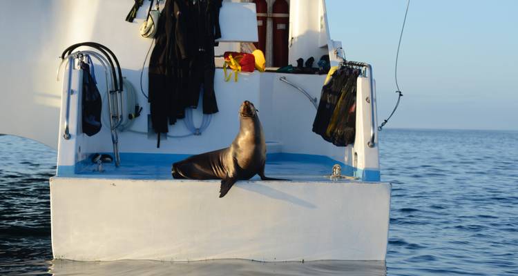 Expedición Trilogía de las Galápagos: un viaje de 6 días explorando San Cristóbal, Isabela y Santa Cruz - Nature Galapagos & Ecuador 10