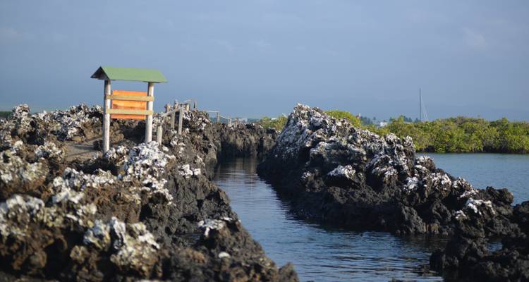 Expedición Trilogía de las Galápagos: un viaje de 6 días explorando San Cristóbal, Isabela y Santa Cruz - Nature Galapagos & Ecuador 3