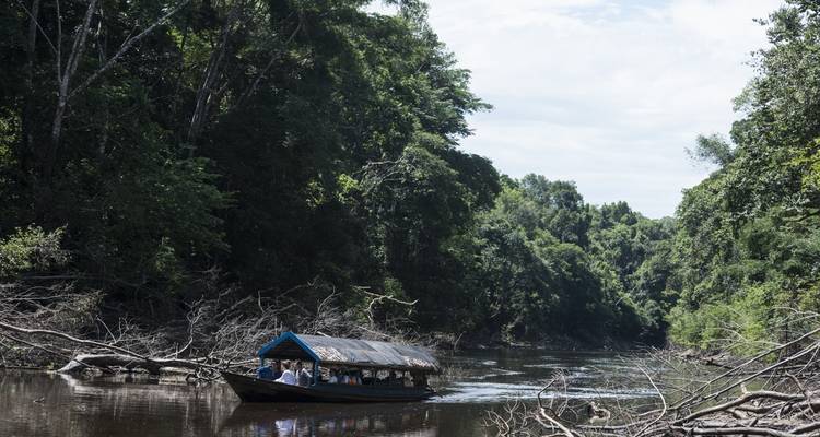 3 jours et 2 nuits dans la réserve nationale de Pacaya Samiria - Amazon Experience 7