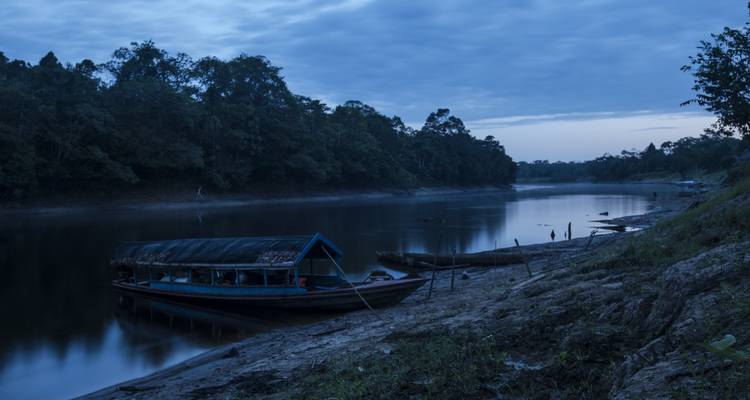 3 jours et 2 nuits dans la réserve nationale de Pacaya Samiria - Amazon Experience 10