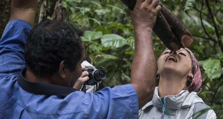 3 jours et 2 nuits dans la réserve nationale de Pacaya Samiria - Amazon Experience 1