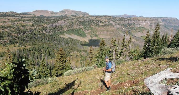 Explorador de cimas planas - Wildland Trekking 4