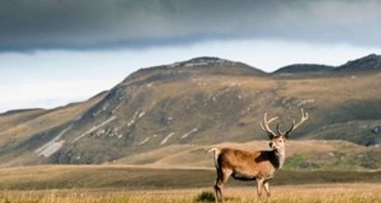 Ruta por las Tierras Altas inspirada en Outlander - 13 días - Brendan Vacations 1