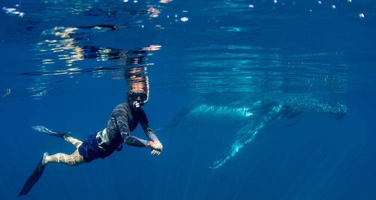 7 jours de Perth à Exmouth Explorer & Ningaloo Reef Return - de Perth - Autopia Tours 7