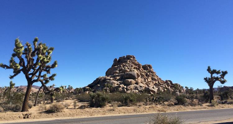 Excursión en bici por Joshua Tree y Anza Borrego - Bicycle Adventures 3