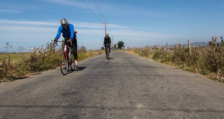 Redwoods & Coast Multisport Tour - Bicycle Adventures 6