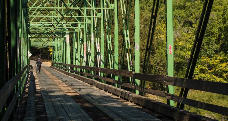 Redwoods & Coast Multisport Tour - Bicycle Adventures 4