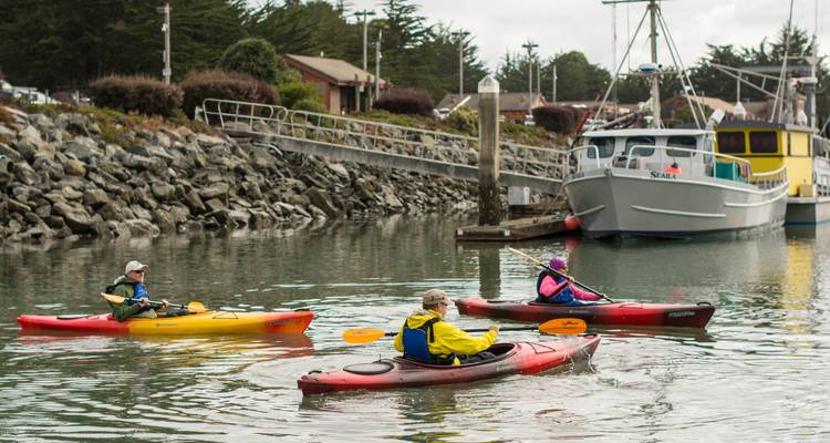 Redwoods & Coast Multisport Tour - Bicycle Adventures 2