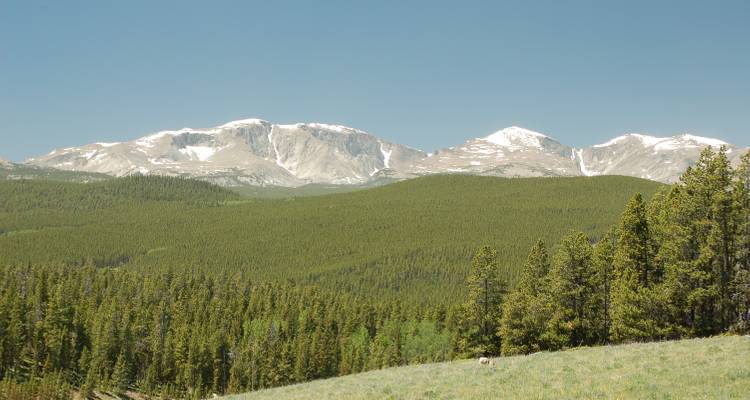 Chaîne de montagnes couverte de pins sous un ciel bleu dégagé.