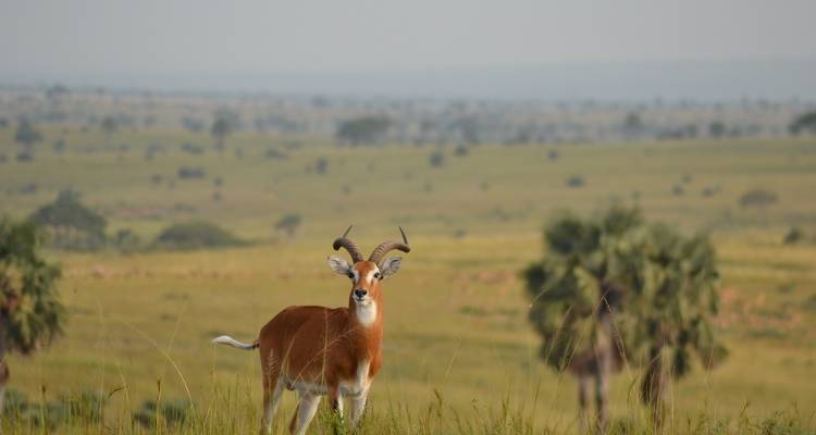 6 Days Classic Kenya Camping Safari - Pita Safaris 4