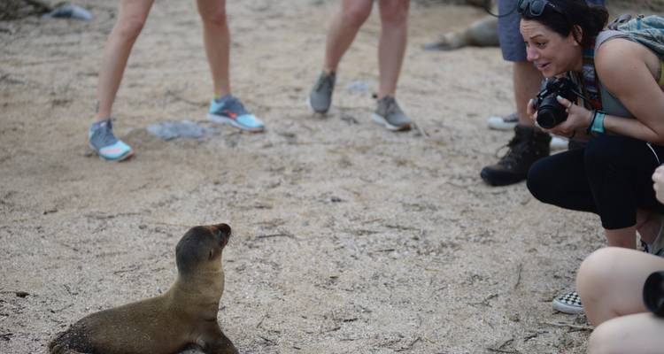 4 jours sur l'île de San Cristóbal : L'escapade parfaite aux Galápagos - Nature Galapagos & Ecuador 1