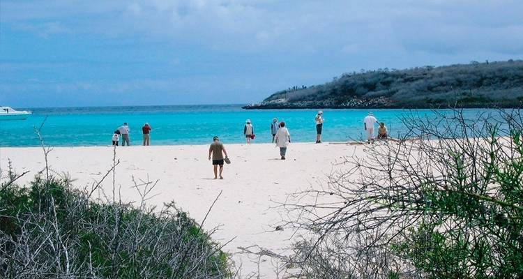 5-Day Guided Galapagos & Cabo Rosa - Los Tuneles Tour - Nature Galapagos & Ecuador 9