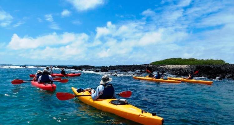 5-Day Guided Galapagos & Cabo Rosa - Los Tuneles Tour - Nature Galapagos & Ecuador 10
